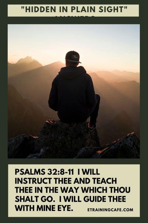 Hidden in Plain Site