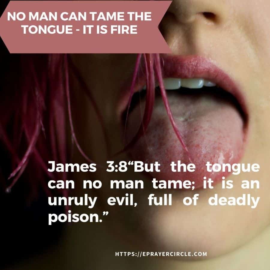No Man Can Tame The Tongue