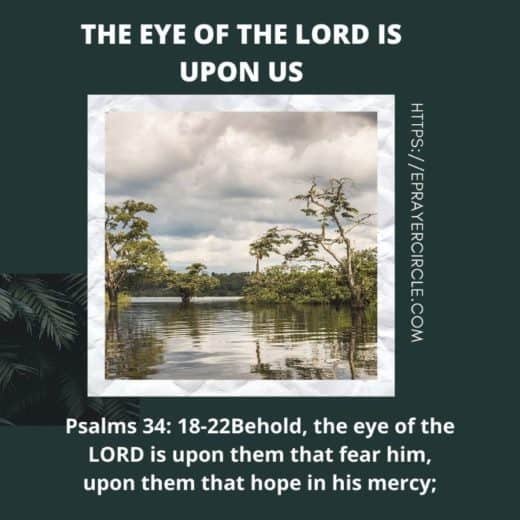 Theeyeofthelord