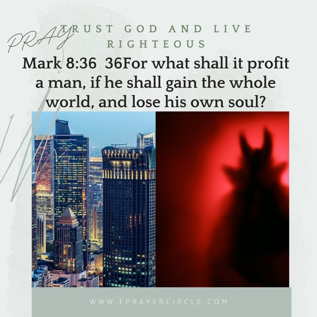 Whatshallitprofit