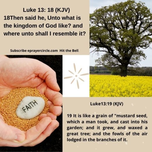 Heaven is like a mustard seed.