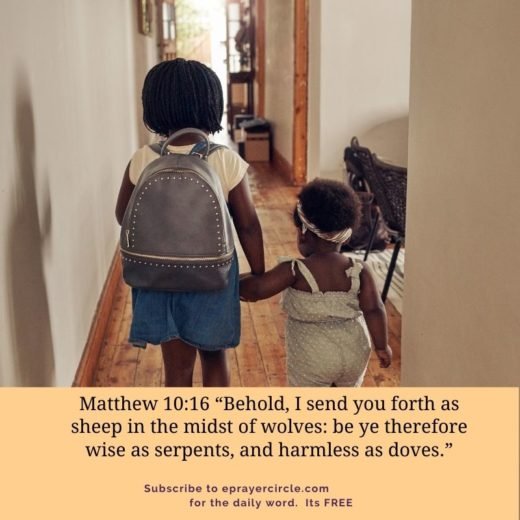 Sheep in the midst of wolves