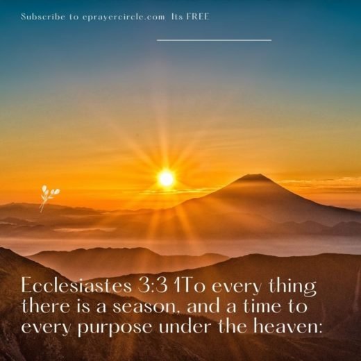 God's Perfect Timing