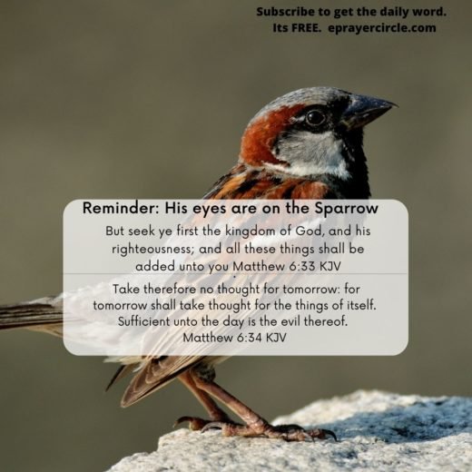 His eyes are on the sparrow