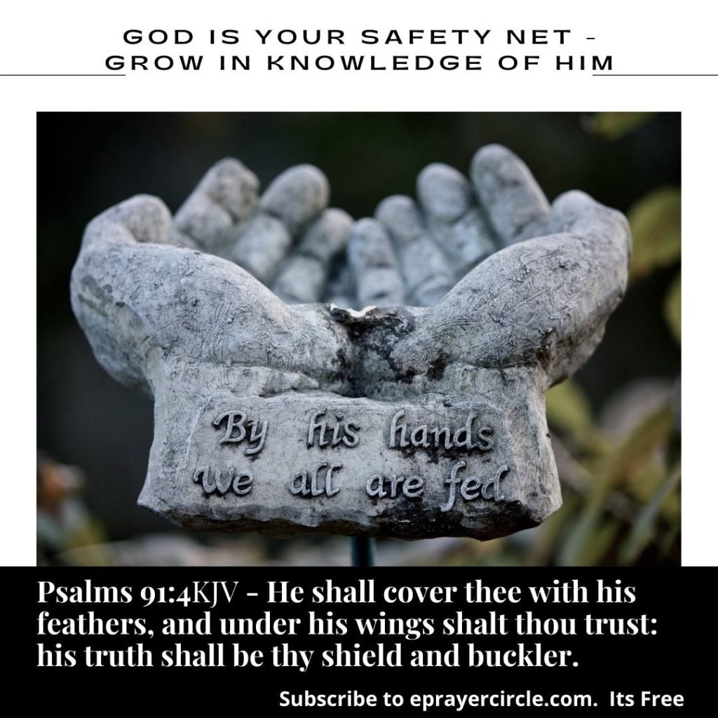safetynet