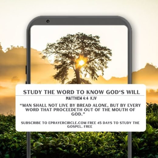 man shall not live by bread alone