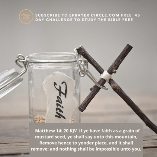 faithasamustardseed