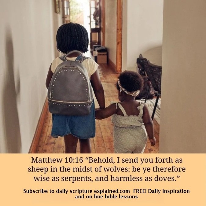 send you forth as sheep