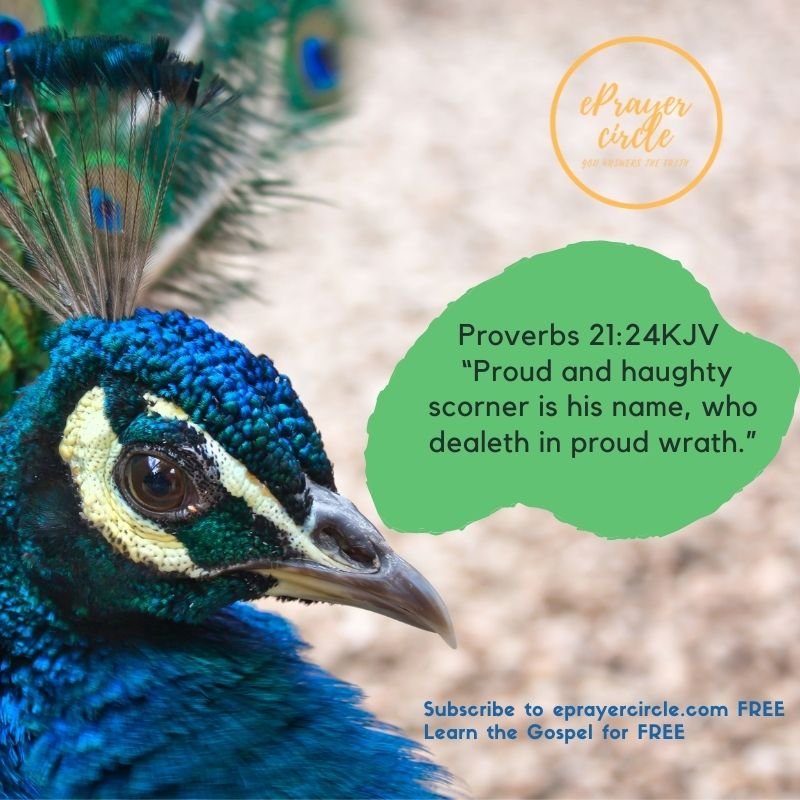 proudlook