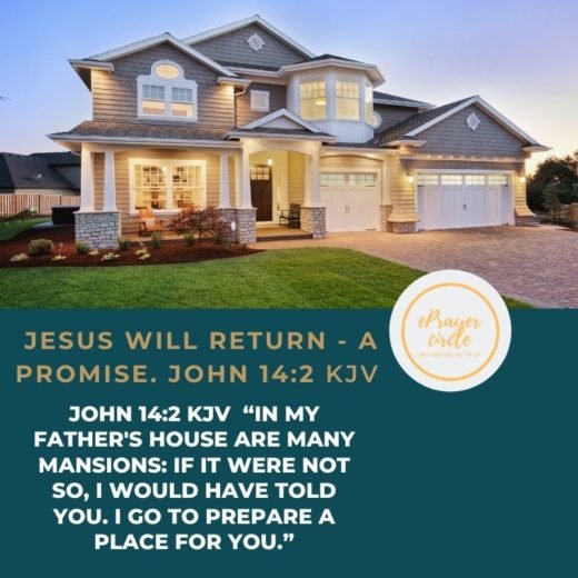 in my father's house are many mansions