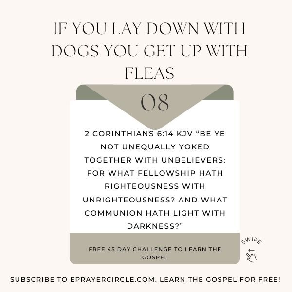 dogsandfleas