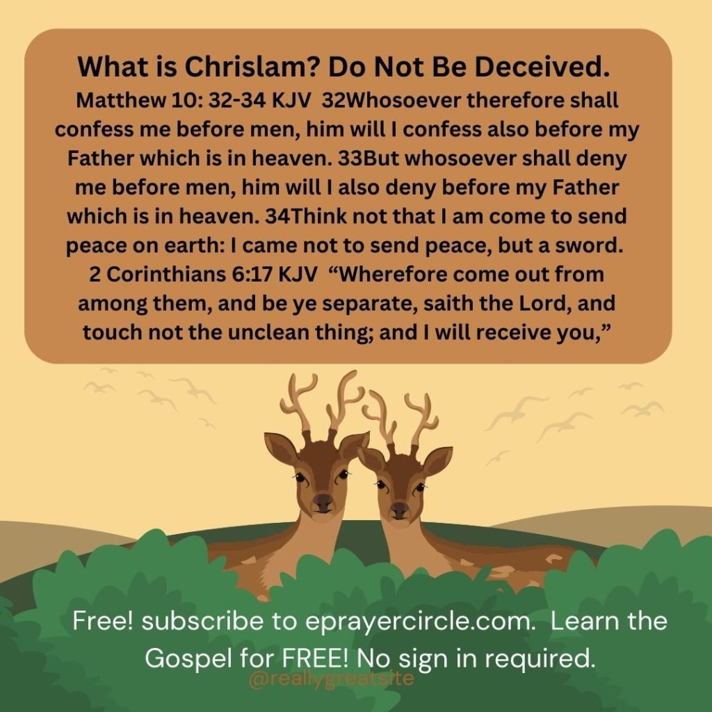 chrislam (1)