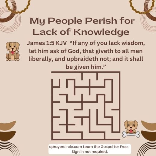 my people perish for lack of knowledge t