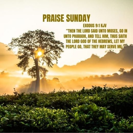 praise sunday