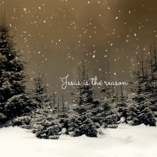 merry christmas jesus