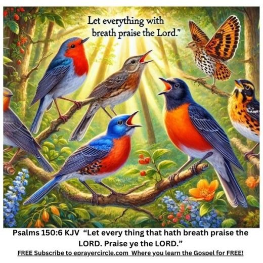 breath praise god