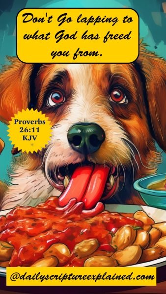 dog licks his vomit