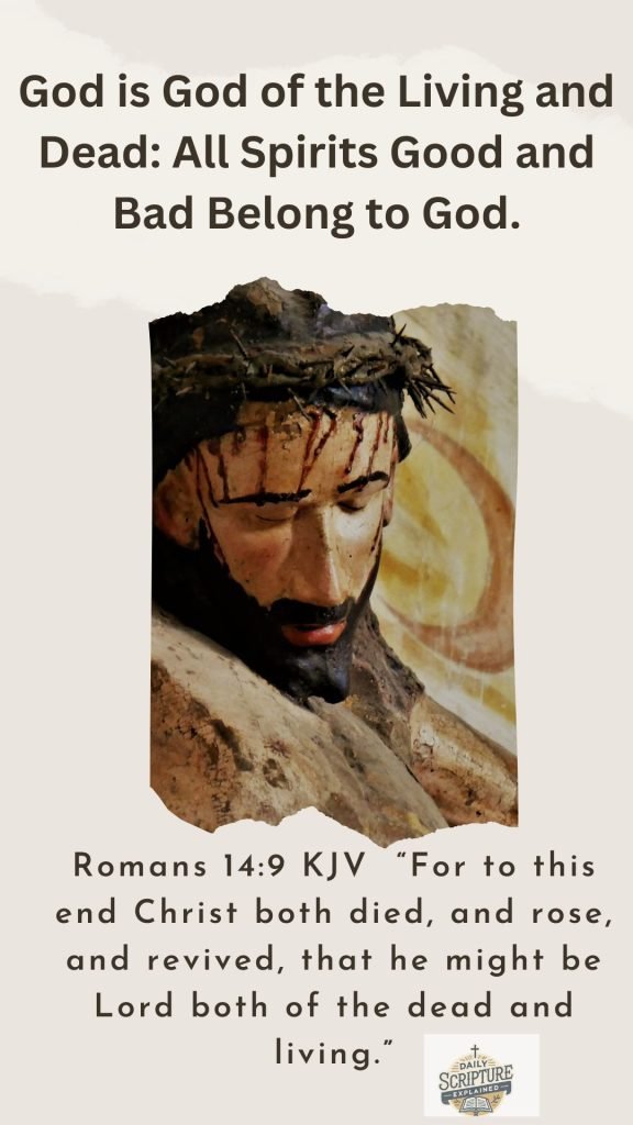 Romans 149 KJV