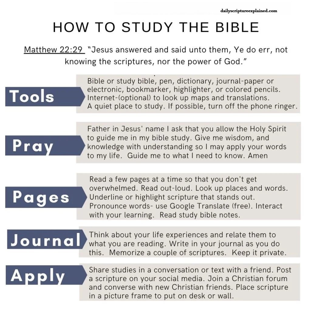how to study the bible